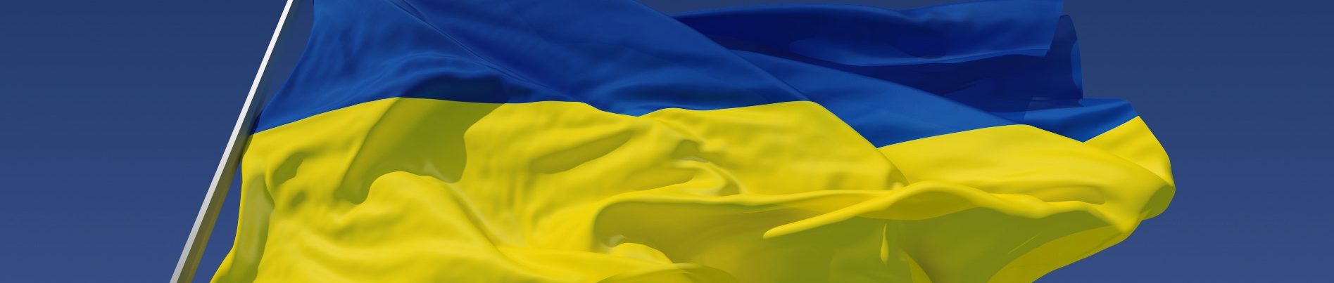 We stand with Ukraine
